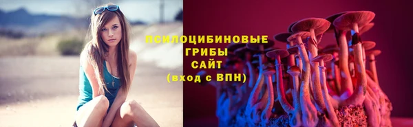 ГАЛЛЮЦИНОГЕННЫЕ ГРИБЫ Арсеньев