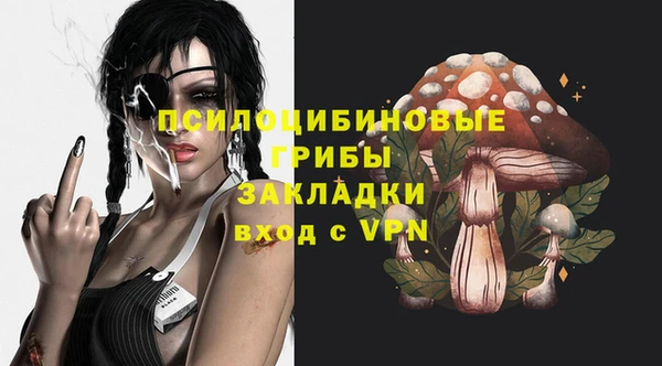 эйфоретик Аркадак