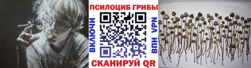 shop формула  Уварово  Псилоцибиновые грибы MAGIC MUSHROOMS 